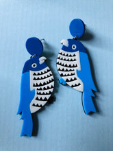 Indlæs billede til gallerivisning Undulat