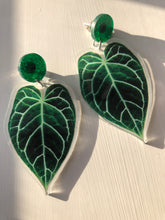 Indlæs billede til gallerivisning Blade - Glimmer